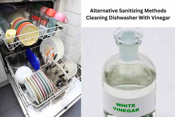 Alternative Sanitizing Methods Cleaning Dishwasher With Vinegar