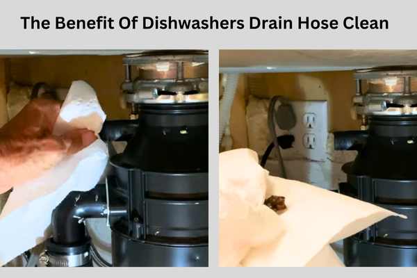 The Benefit Of Dishwashers Drain Hose Clean