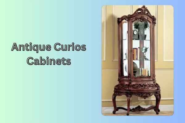Antique Curios Cabinets