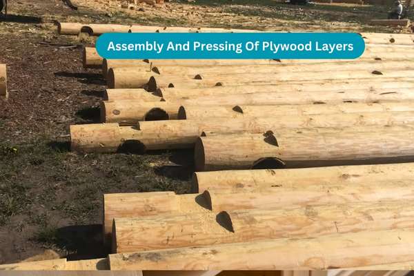 Assembly And Pressing Of Plywood Layers