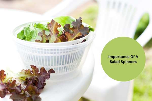 Importance Of A Salad Spinners