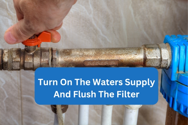 Turn On The Waters Supply And Flush The Filter