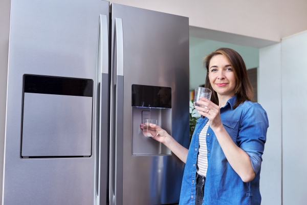 Understanding The Role Of Fridge Water Filters